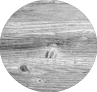 White Washed Plank